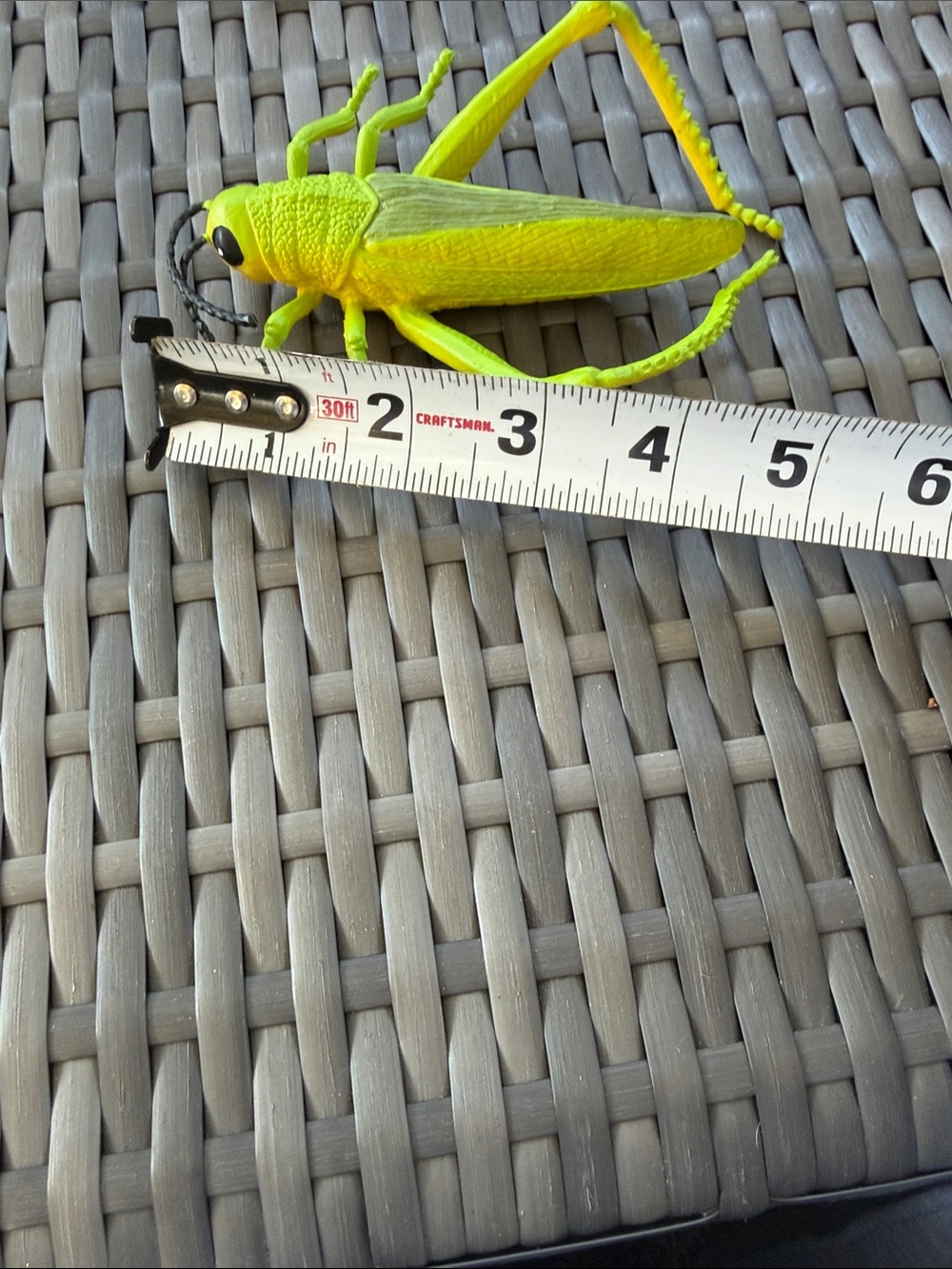 Assorted large  Toy Insects - Multicolor Pack - Picture 4 of 7
